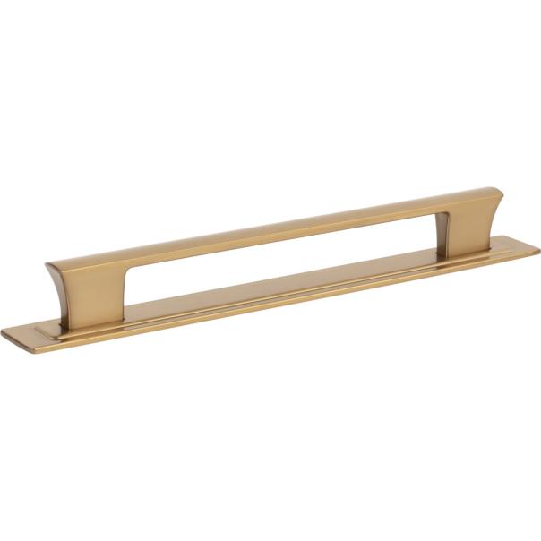 Zander Pull and Backplate