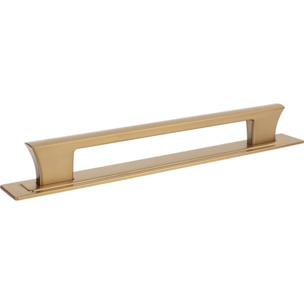 Zander App Pull and Backplate