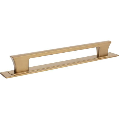 Zander App Pull and Backplate