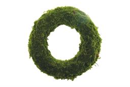ROUND MOSS WREATH, 18", GREEN,
