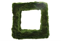 SQUARE MOSS WREATH, 16", MOSS,