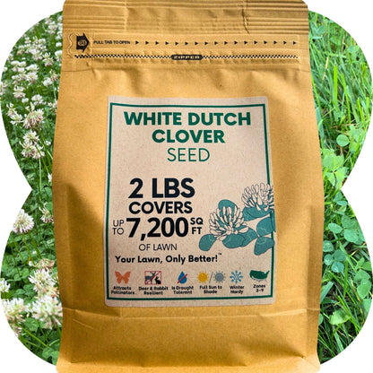 Dutch White Clover Seed