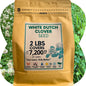 Dutch White Clover Seed
