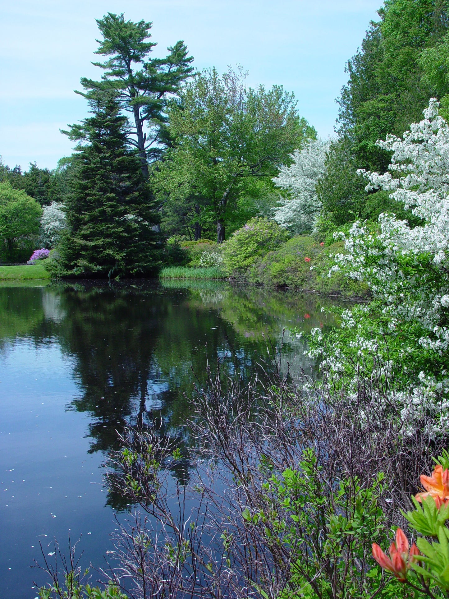 Giclée Print of Acadia National Park - Mount Desert Island