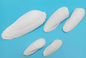 Set of 5 Angel Wing Shells – 3" to 6"