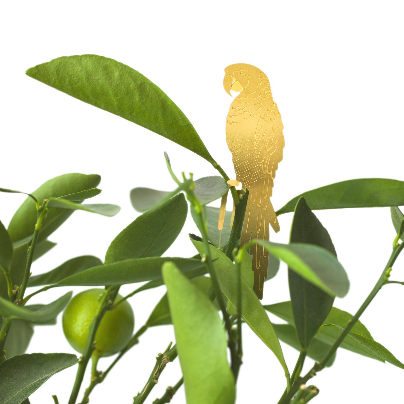 Brass Plant Animals