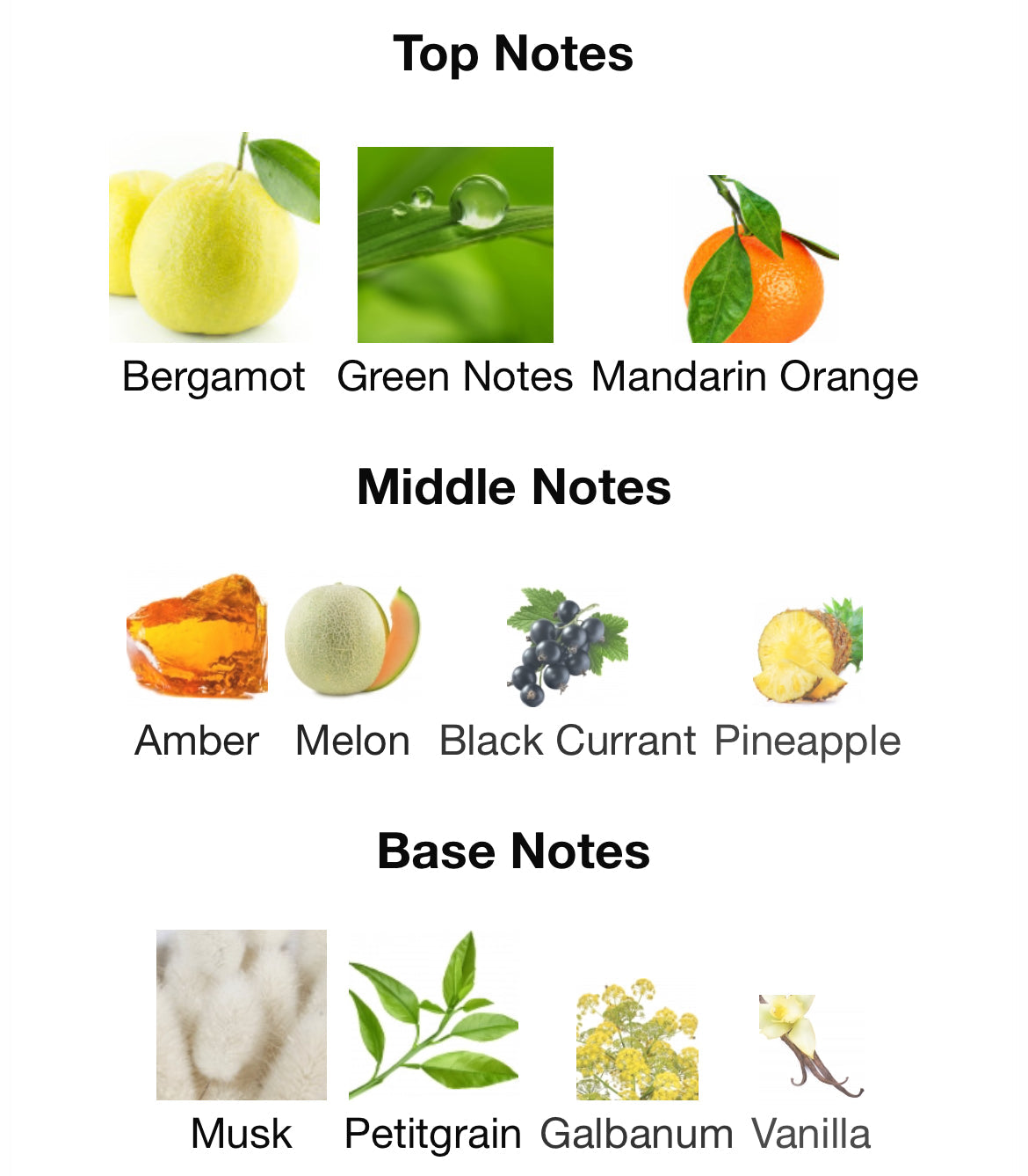 Chart of top, middle, and base notes with corresponding images and names on a white background.