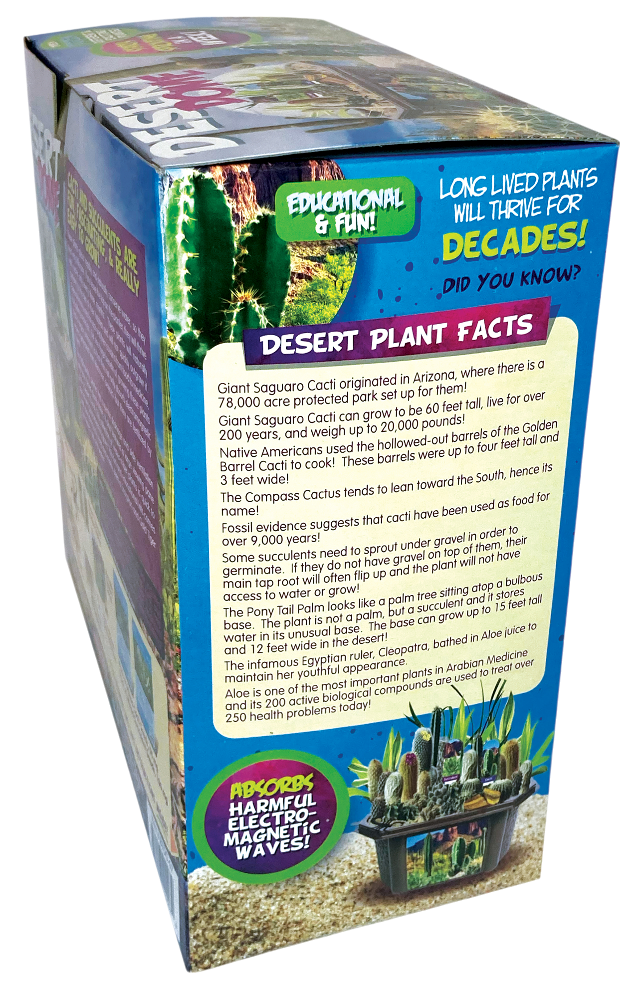 Desert Dome Biosphere Terrarium