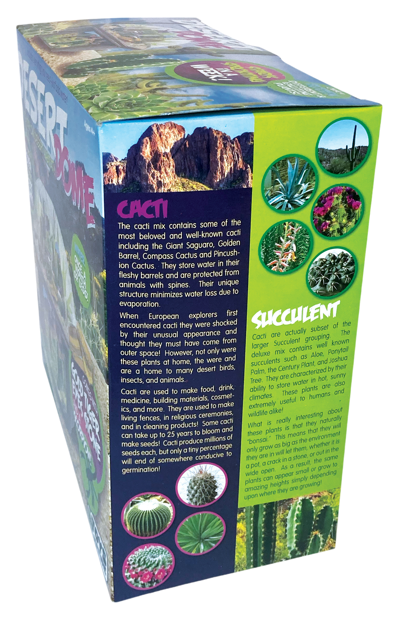 Desert Dome Biosphere Terrarium