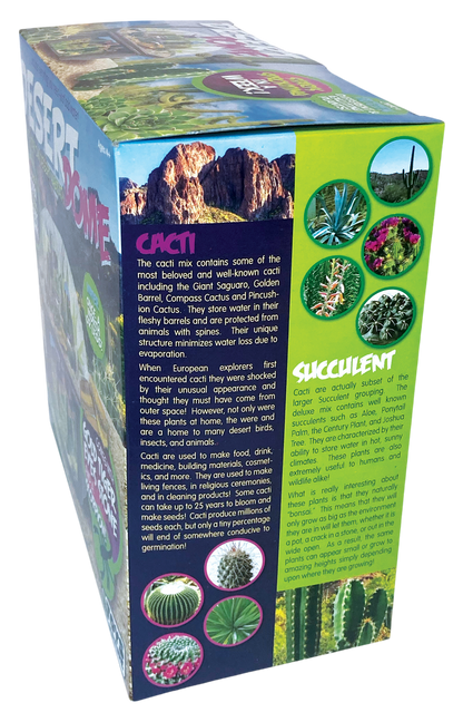 Desert Dome Biosphere Terrarium