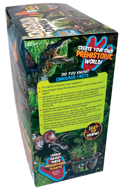 Dinosaur Domain Biosphere Terrarium