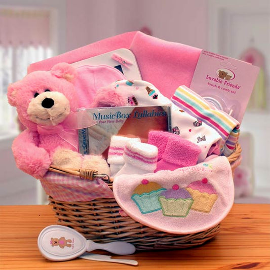 Simply The Baby Basics New Baby Gift Basket -Pink-  baby girl gifts -