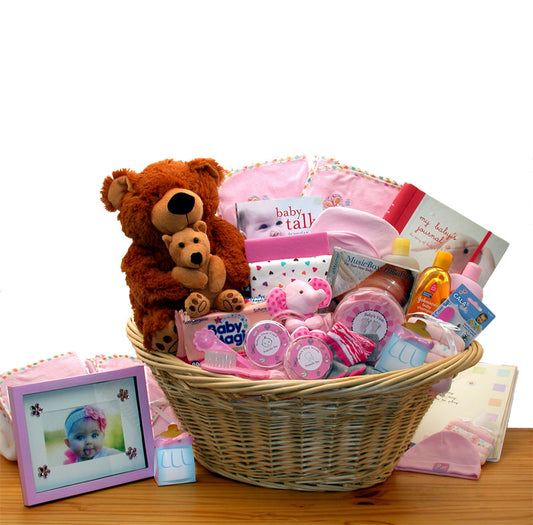 Deluxe Welcome Home Precious Baby Basket-Pink-  baby girl gifts - new