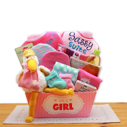 A Special Delivery  New Baby Gift Basket- Pink-  baby girl gifts - new