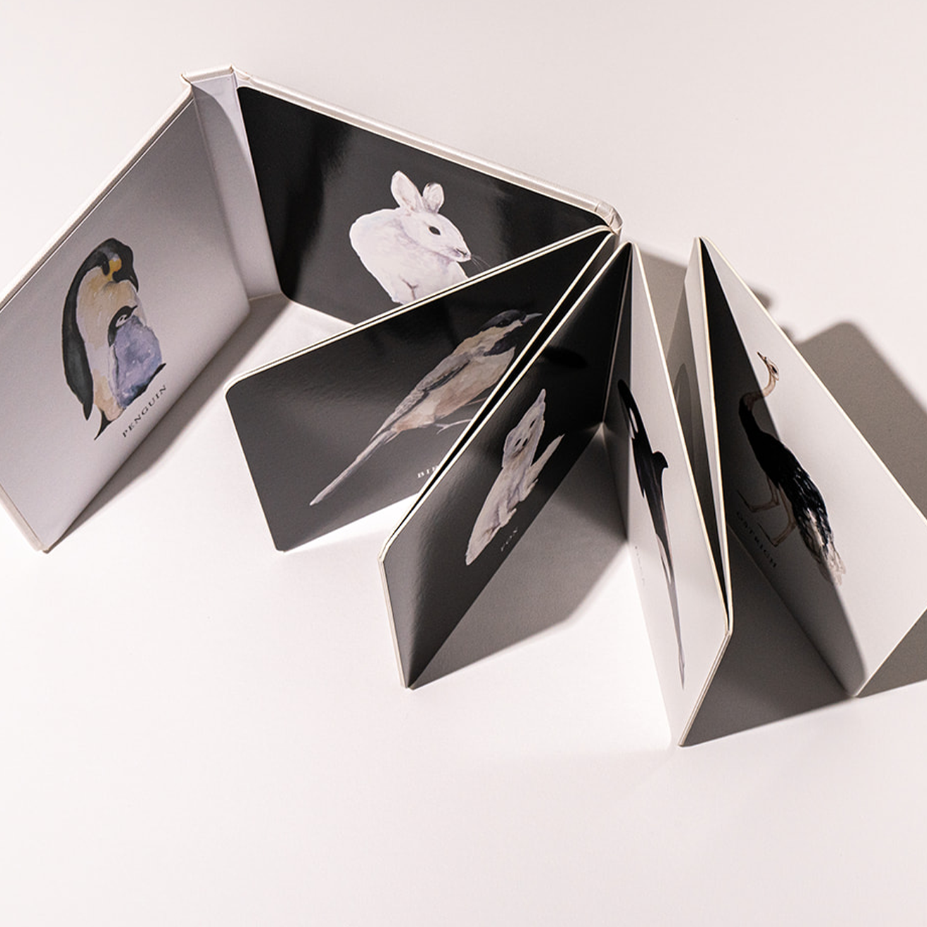 Baby's Black and White Contrast Book