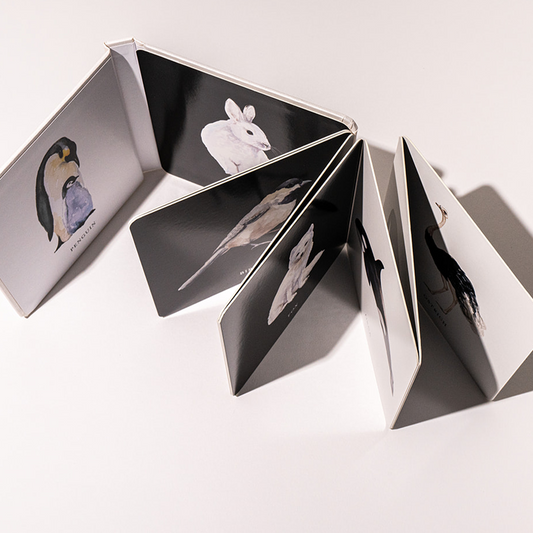 Baby's Black and White Contrast Book