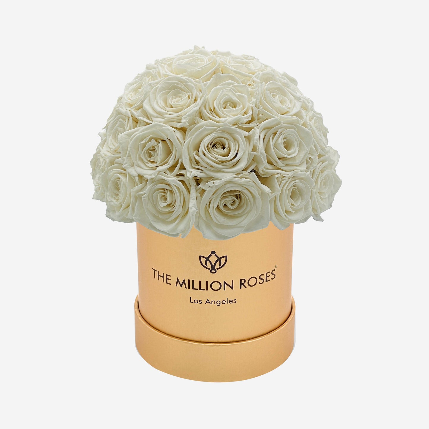Basic Gold Superdome Box | White Roses