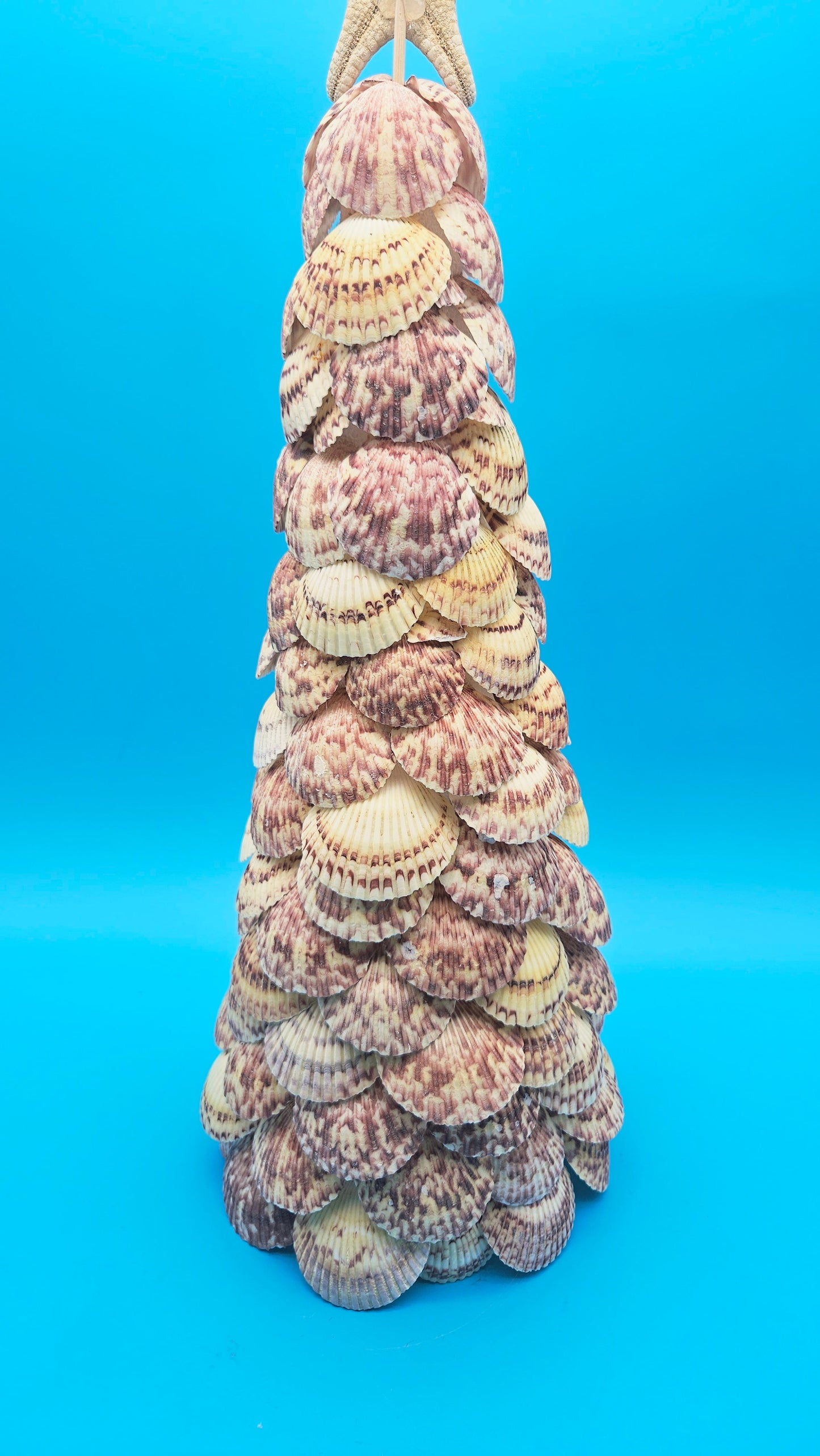 18" Scallop Shell Christmas Tree with Starfish Topper