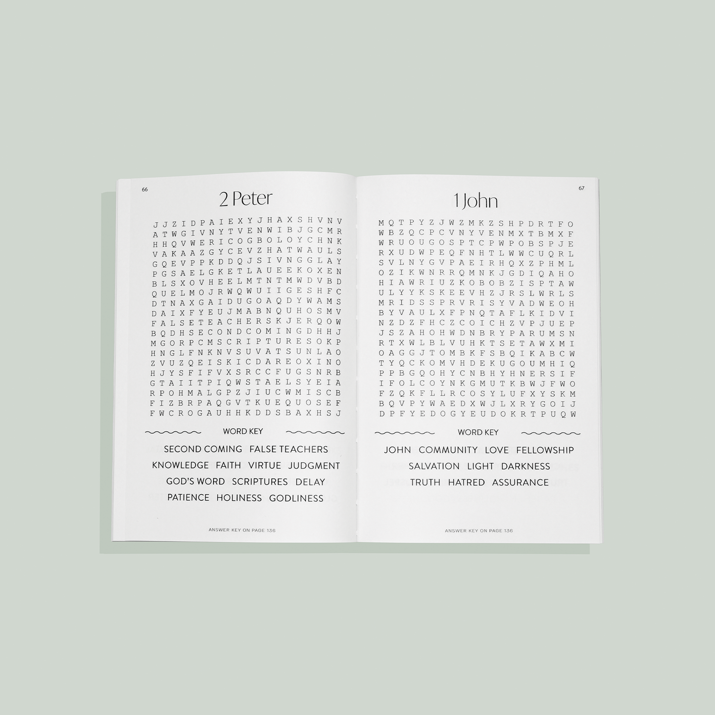Bible Word Search for Adults