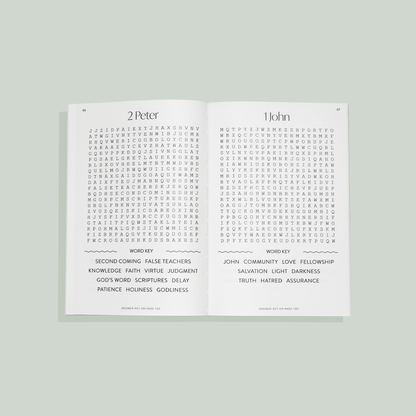 Bible Word Search for Adults