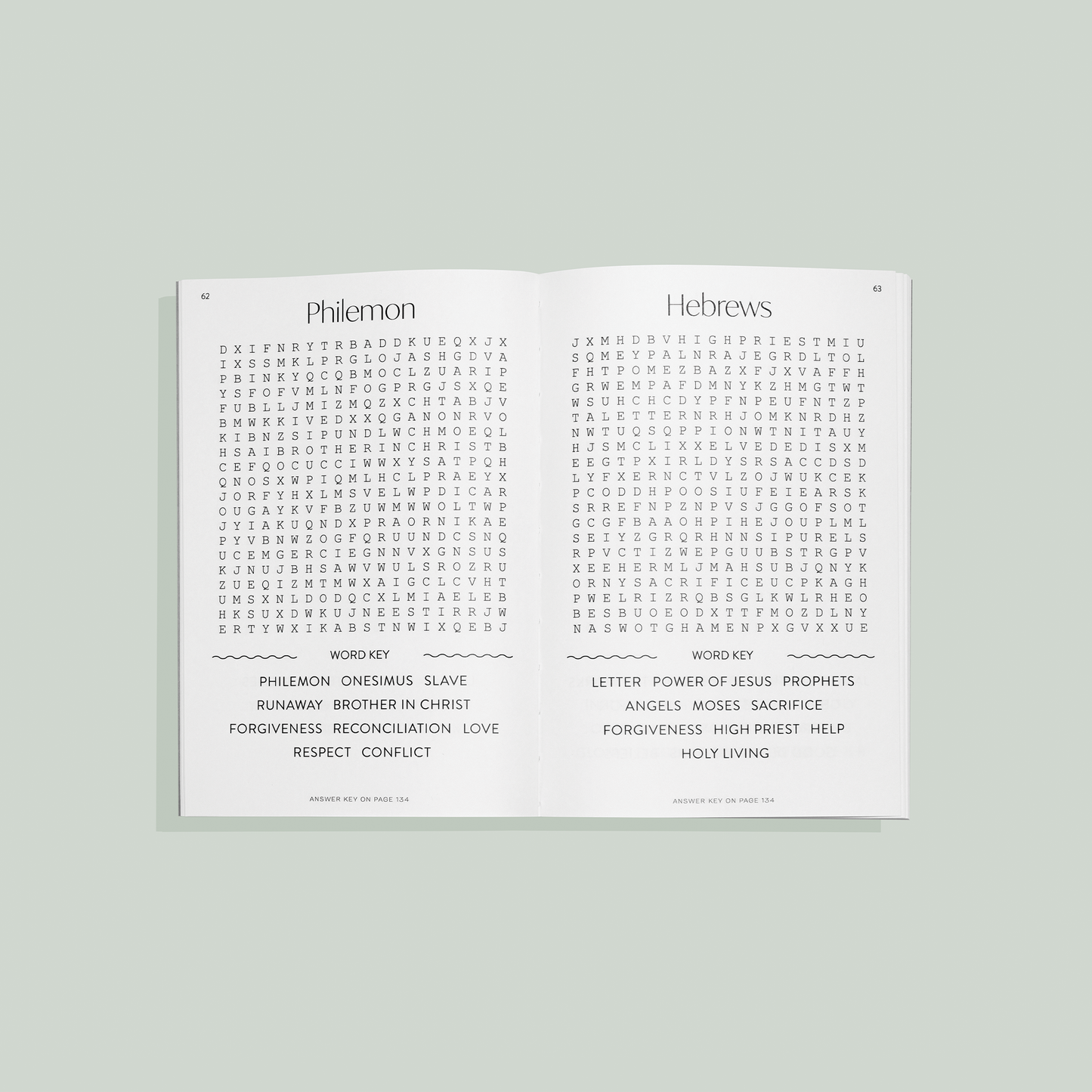 Bible Word Search for Adults