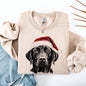 Black Lab, Santa, Labrador Dog, Christmas, Dog Lover, Pet Sweatshirt