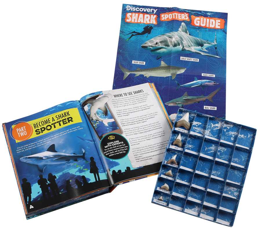 Discovery: Shark Spotter’s Guide, With Poster & Replica Teeth- Box Set