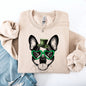 Boston Terrier, Adorable Dog, St Patrick's Day, Lucky, Irish Sweatshirt