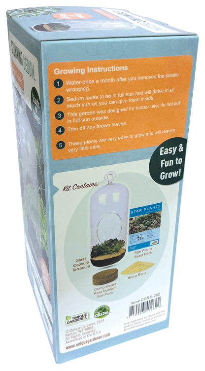 Stunning Sedum Glass Terrarium Seed Starting Kit