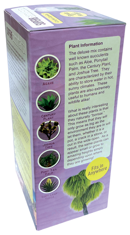Superb Succulents Glass Terrarium Seed Starting Kit