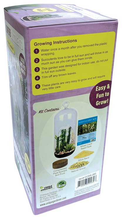 Superb Succulents Glass Terrarium Seed Starting Kit