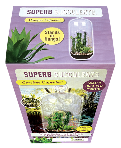 Superb Succulents Glass Terrarium Seed Starting Kit