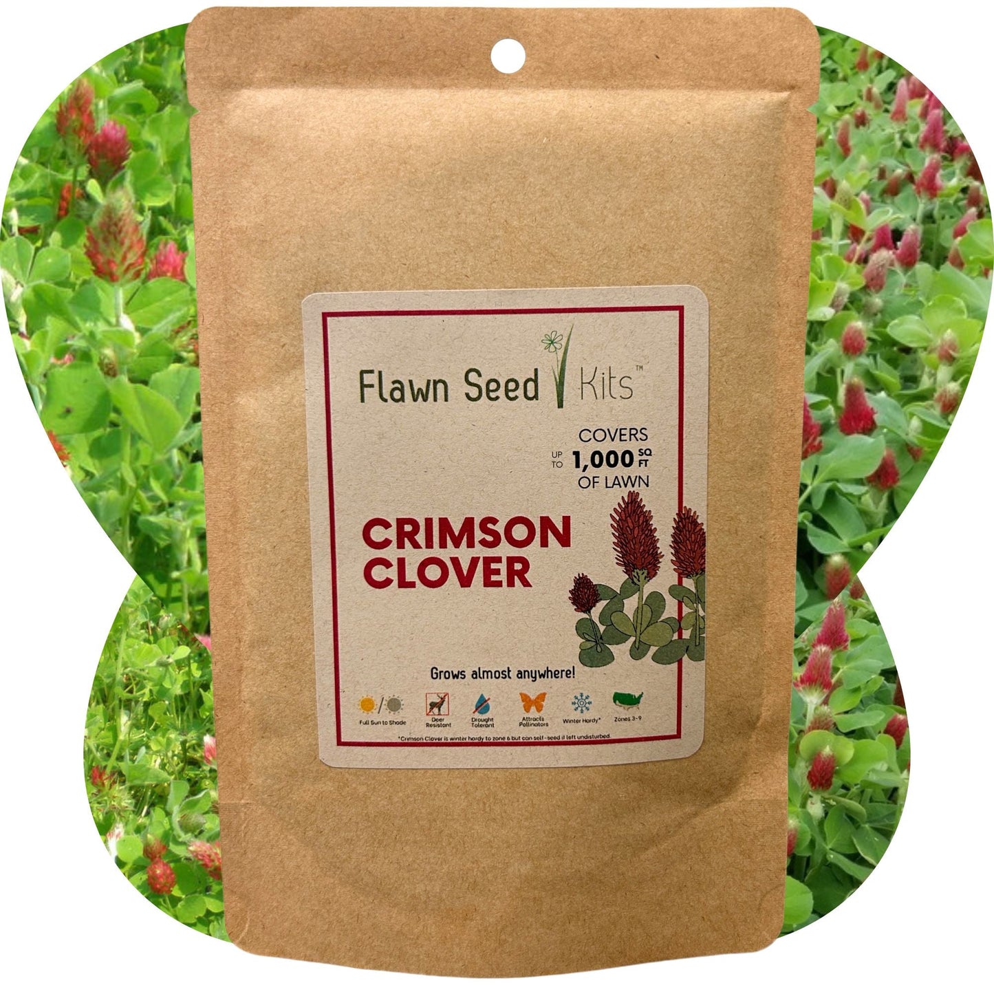 Crimson Clover Seed