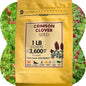 Crimson Clover Seed