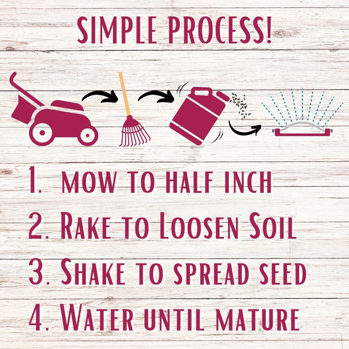 Crimson Clover + Mow Less Grass Seed