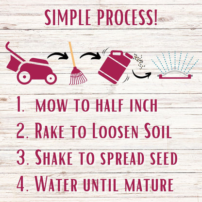 Crimson Clover + Mow Less Grass Seed