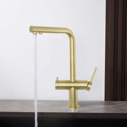 Halo 2-in-1 Pull Out Kitchen Filtration Faucet