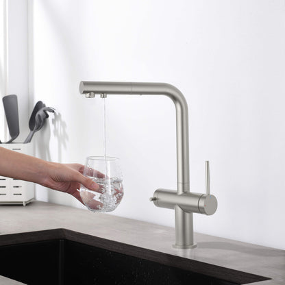 Halo 2-in-1 Pull Out Kitchen Filtration Faucet