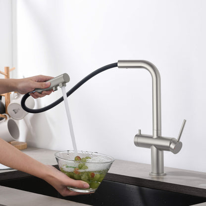 Halo 2-in-1 Pull Out Kitchen Filtration Faucet