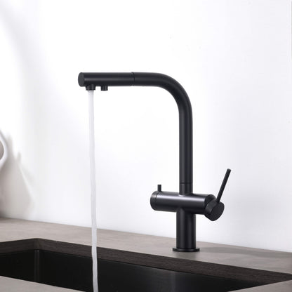 Halo 2-in-1 Pull Out Kitchen Filtration Faucet