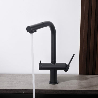 Halo 2-in-1 Pull Out Kitchen Filtration Faucet