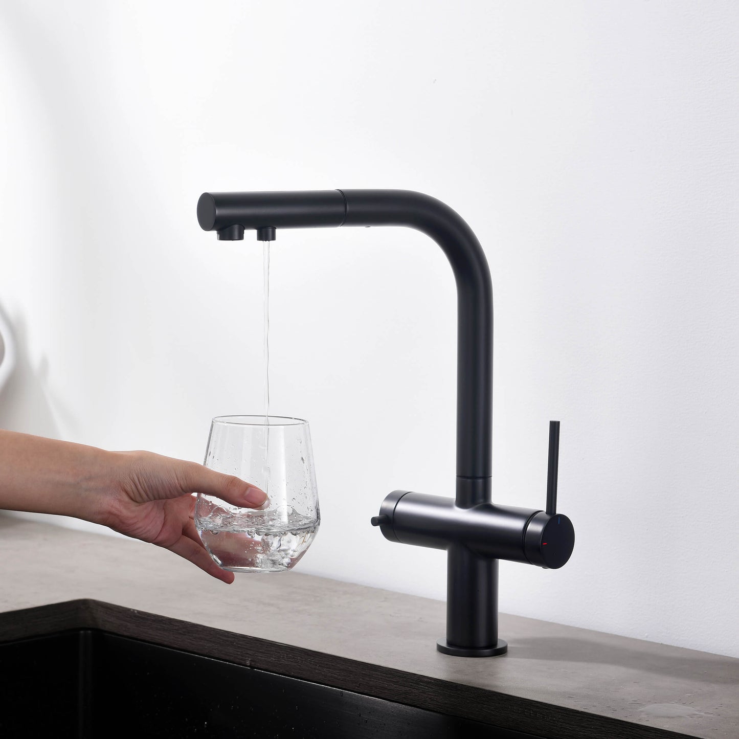 Halo 2-in-1 Pull Out Kitchen Filtration Faucet