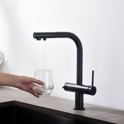 Halo 2-in-1 Pull Out Kitchen Filtration Faucet