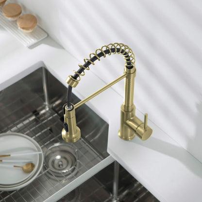 Genova Commercial Style Single Handle Pull Down Kitchen Sink Faucet