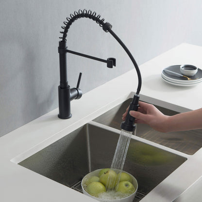 Genova Commercial Style Single Handle Pull Down Kitchen Sink Faucet