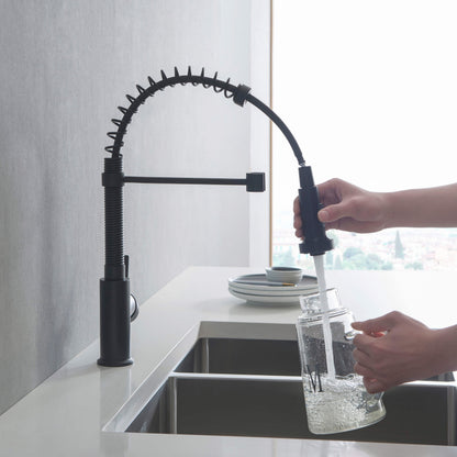 Genova Commercial Style Single Handle Pull Down Kitchen Sink Faucet
