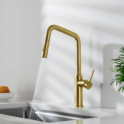 Tampa Single Handle Pull Down Kitchen Sink Faucet