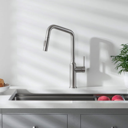 Tampa Single Handle Pull Down Kitchen Sink Faucet