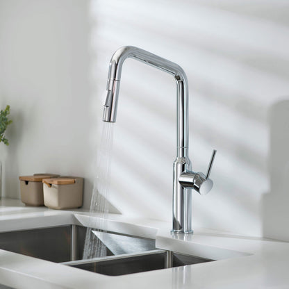 Tampa Single Handle Pull Down Kitchen Sink Faucet