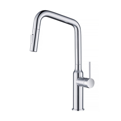 Tampa Single Handle Pull Down Kitchen Sink Faucet